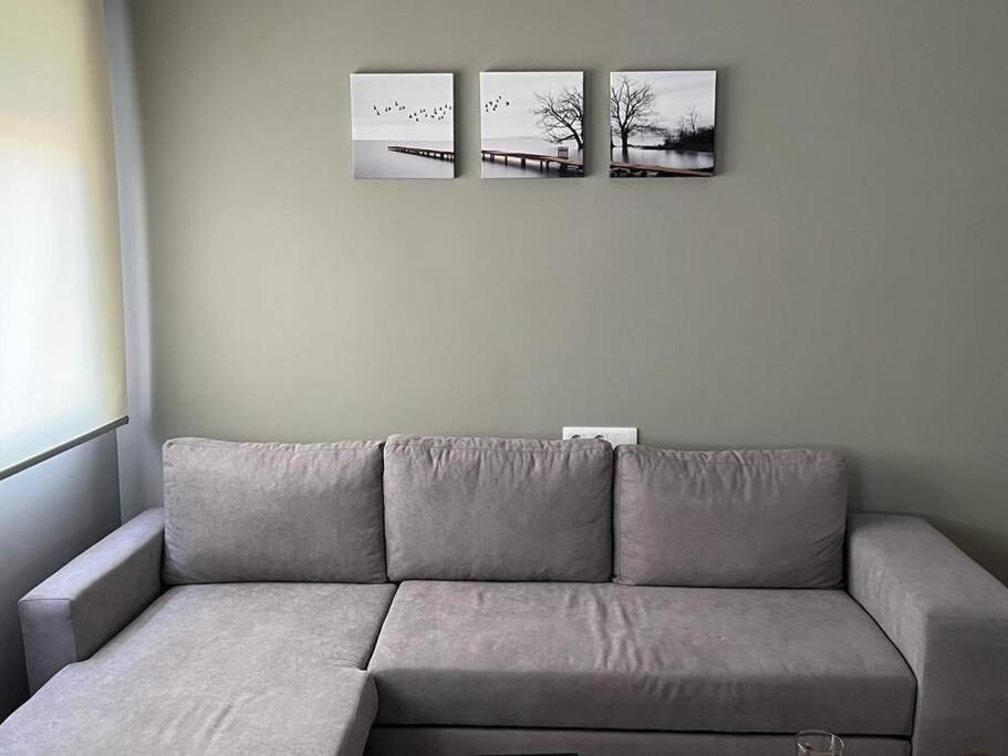 Apartamentos Camino A Ribeira Quiroga 외부 사진